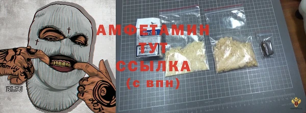 твердый Арсеньев
